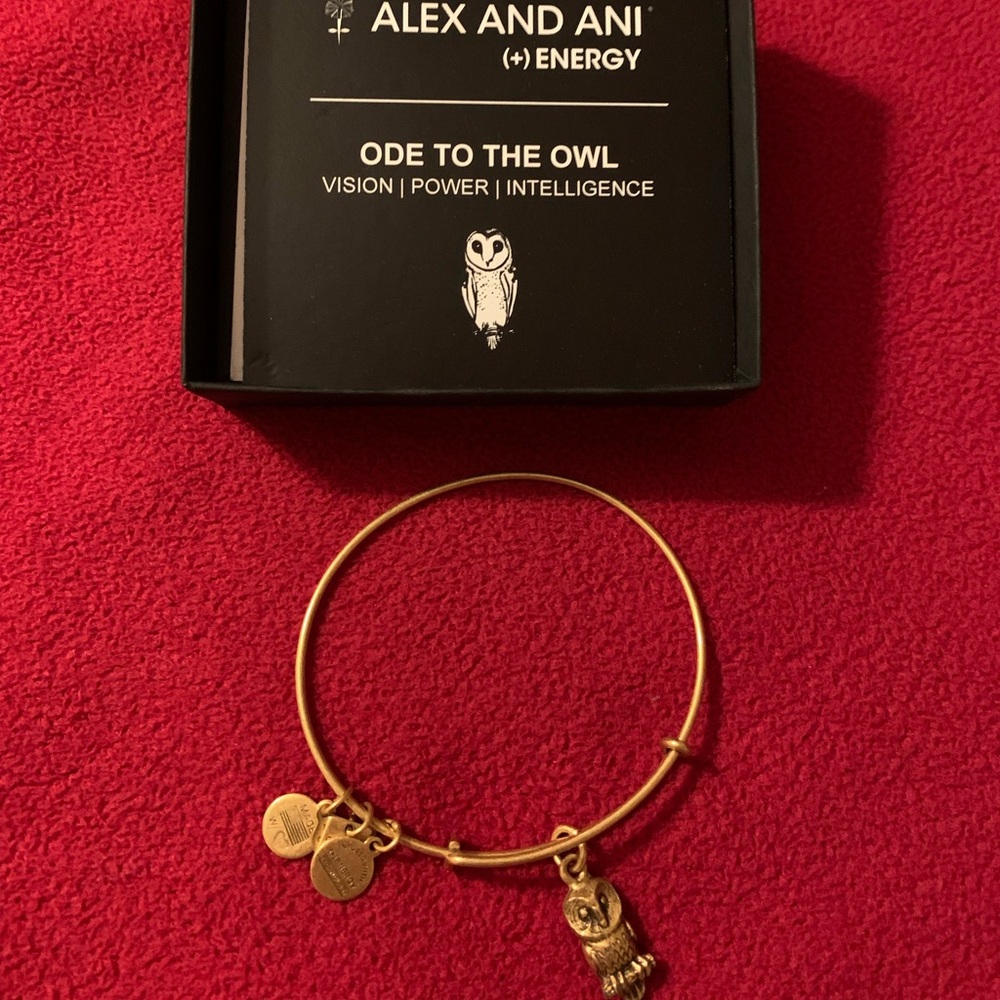 Alex and Ani Owl Bracelet